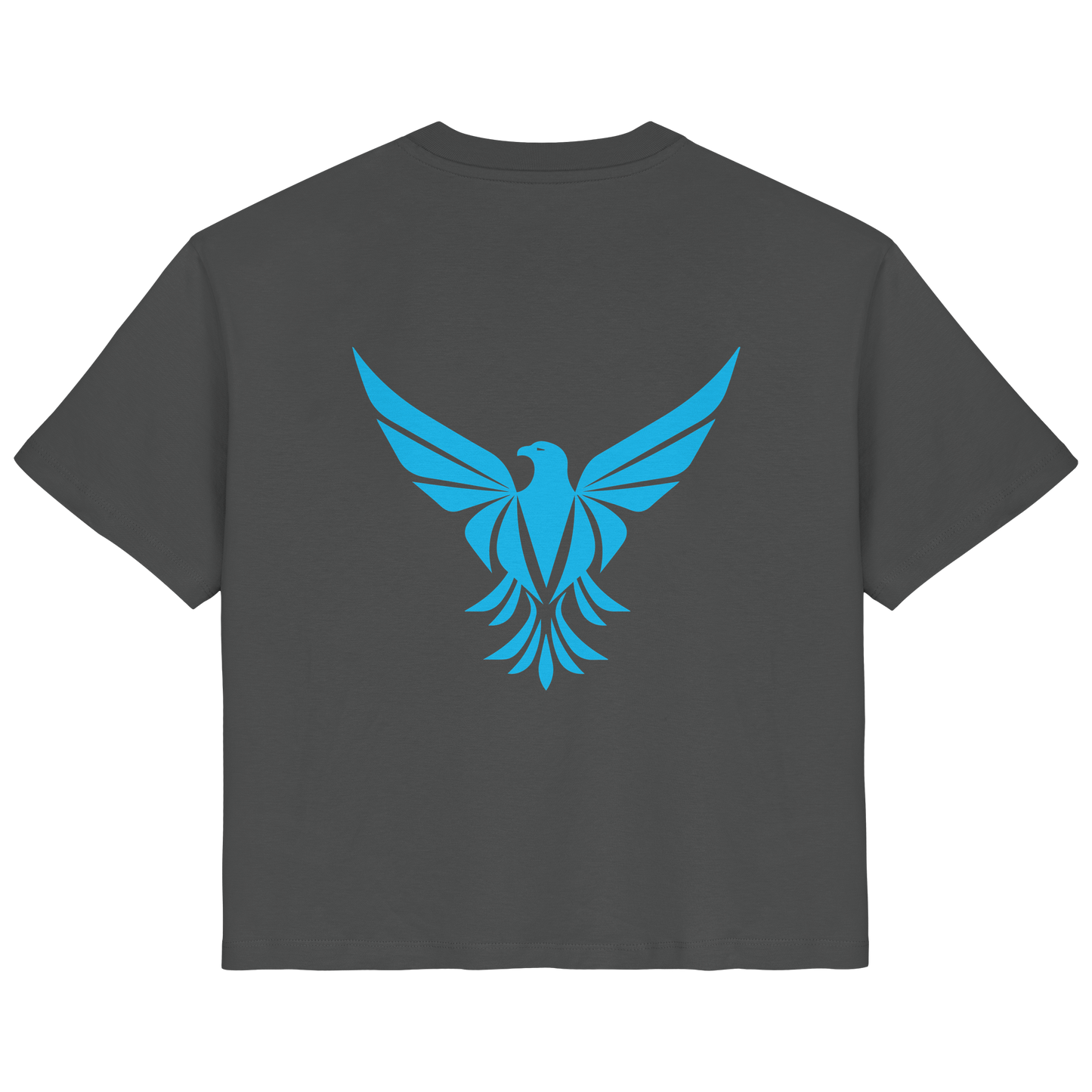 Aguix Basic - Ladies Organic Shirt